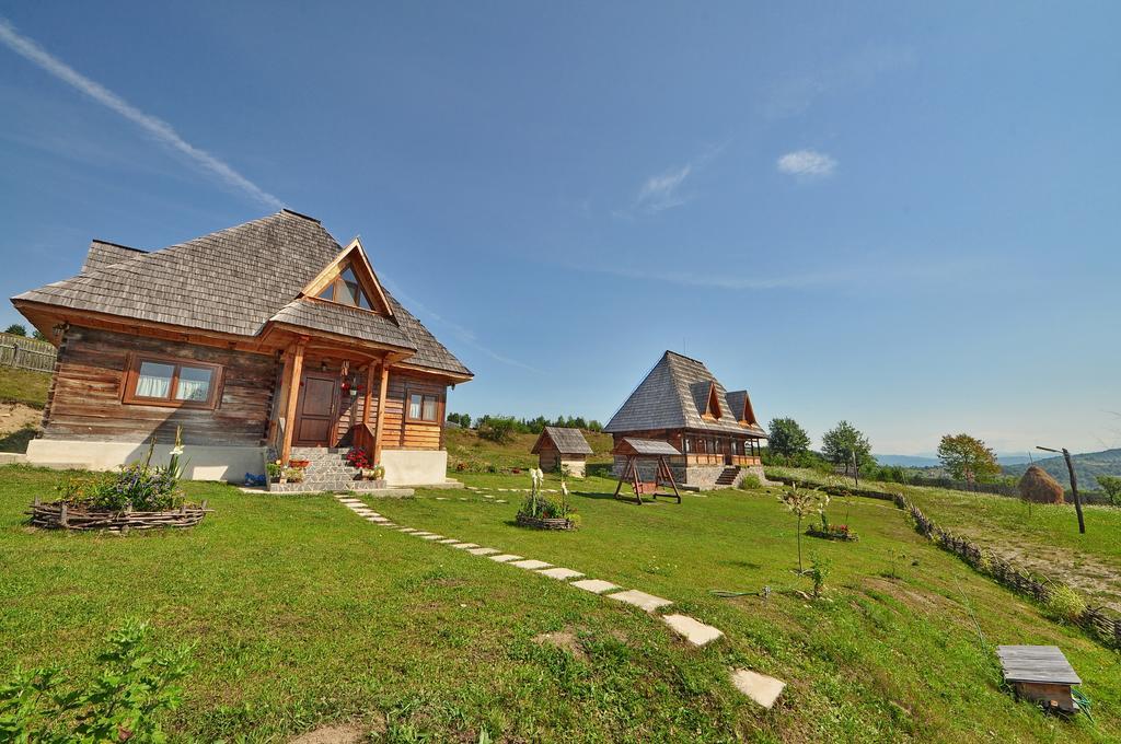 Casele De Vacanta Luca & Vicentiu Botiza ภายนอก รูปภาพ