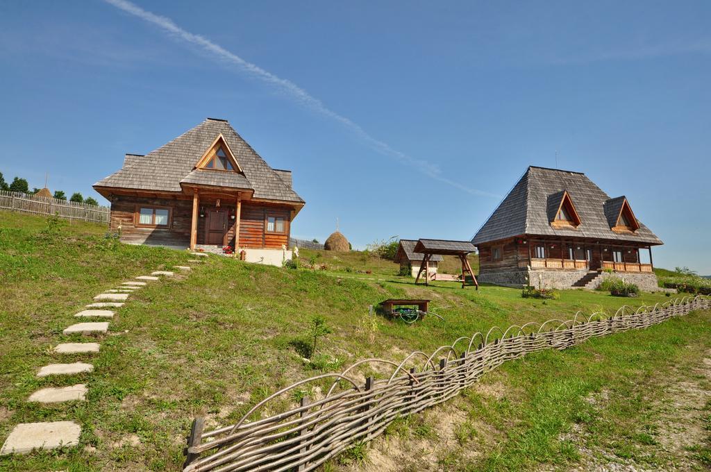 Casele De Vacanta Luca & Vicentiu Botiza ภายนอก รูปภาพ