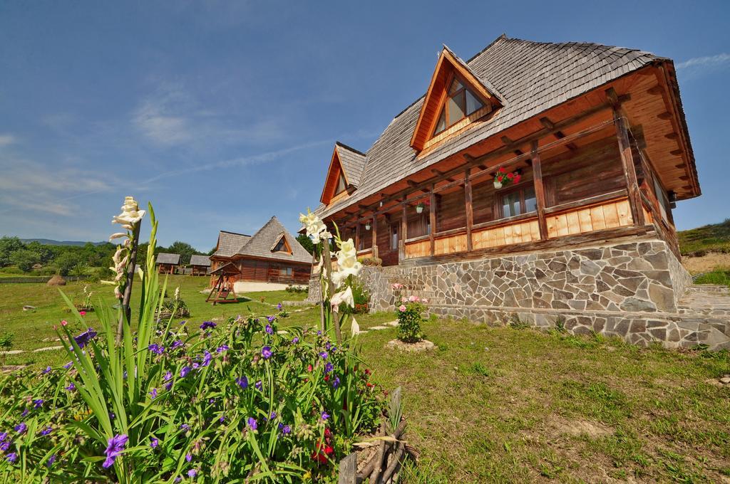 Casele De Vacanta Luca & Vicentiu Botiza ภายนอก รูปภาพ