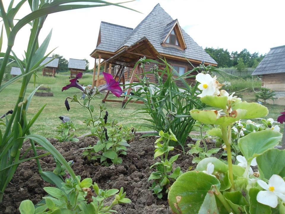 Casele De Vacanta Luca & Vicentiu Botiza ภายนอก รูปภาพ